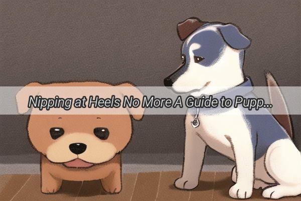 Nipping at Heels No More A Guide to Puppyproofing Your Kids Playtime